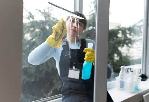 Nettoyage de vitres intérieures et extérieures à Godewaersvelde